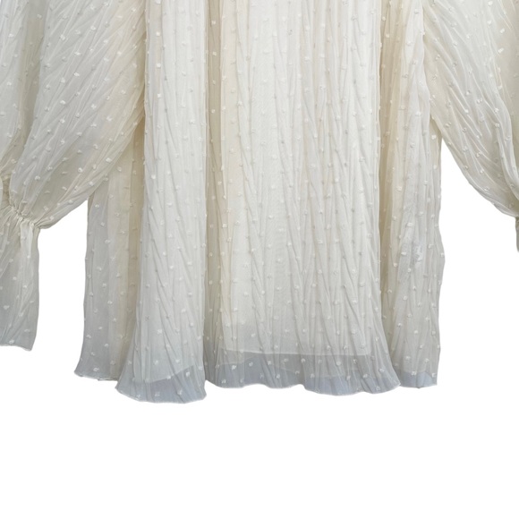 NWT Zara Swiss Dot Sheer Balloon Sleeve Mockneck Peasant Blouse With Bow - Picture 8 of 13
